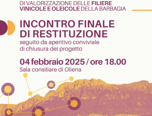 “Valorizzazione delle filiere del vino e olio” | Workshop conclusivo: 4 febbraio 2025 ore 18 Sala Consiliare Oliena